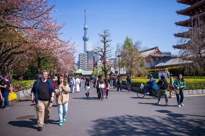Tokyo Asakusa, Sensoji Temple and Skytree Walking Tour — photo 4