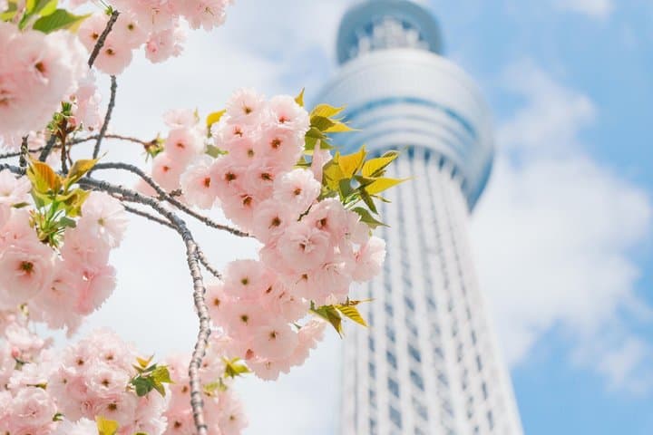 Tokyo Asakusa, Sensoji Temple and Skytree Walking Tour — photo 2