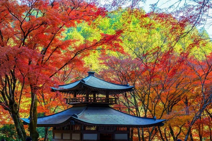 Kyoto Arashiyama A Tour of Sacred Temples and Hidden Sanctuaries — photo 11