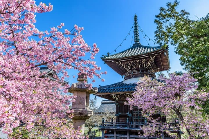 Kyoto Arashiyama A Tour of Sacred Temples and Hidden Sanctuaries — photo 14