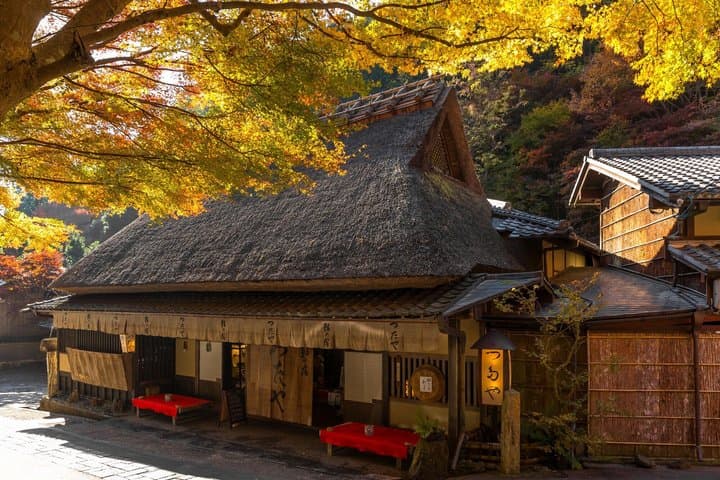 Kyoto Arashiyama A Tour of Sacred Temples and Hidden Sanctuaries — photo 4