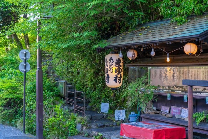 Kyoto Arashiyama A Tour of Sacred Temples and Hidden Sanctuaries — photo 9