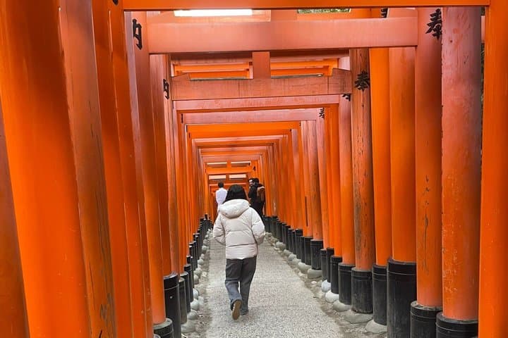 Private Tours by Luxurious Vans in Kyoto, Osaka, Nara. — photo 11