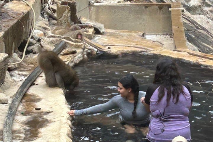 Full Day Snow Monkey Park Tour to-and-from Nagano Station — photo 8
