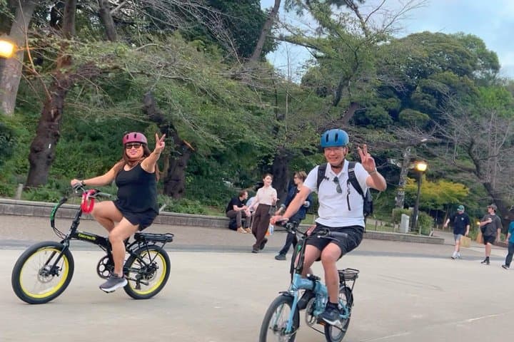 Tokyo Spring Flowering Gardens Tour with Gardener E-bike or Walk — photo 12
