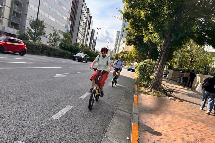 Tokyo Spring Flowering Gardens Tour with Gardener E-bike or Walk — photo 18