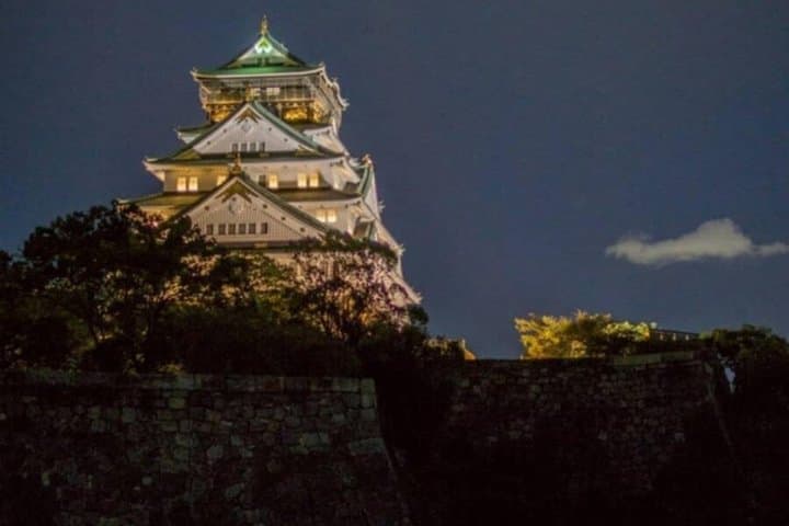 Osaka Castle After Dark: Night Photography Tour — photo 5