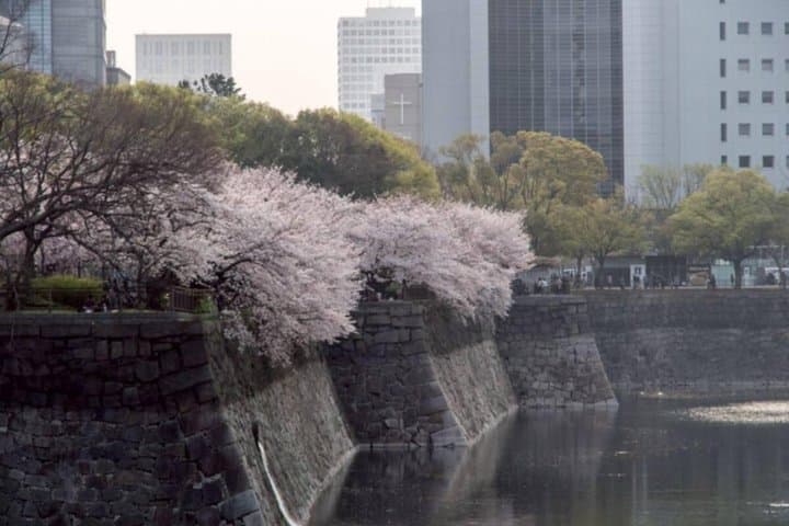 Osaka Castle: Before Japan Had a Name — photo 14