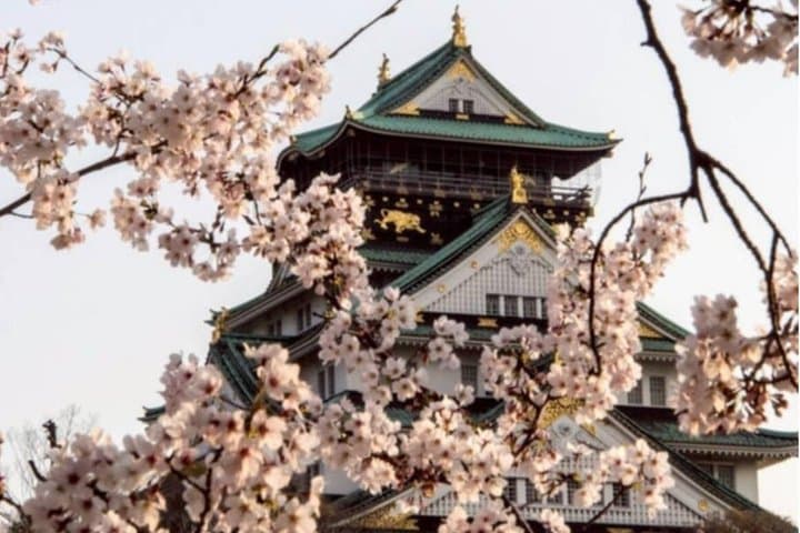Osaka Castle: Before Japan Had a Name — photo 15