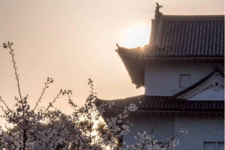 Osaka Castle: Before Japan Had a Name — photo 16