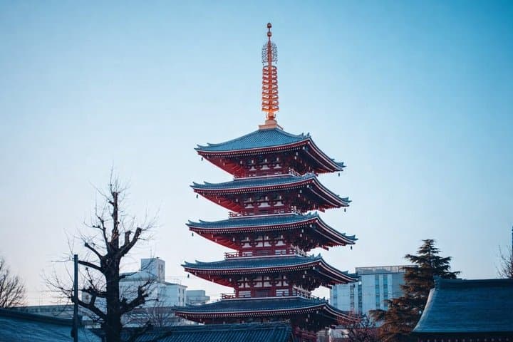 Tokyo Private Tour Highlights Temples Markets and Skyline — photo 2