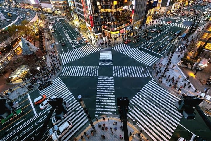 Tokyo Private Tour Highlights Temples Markets and Skyline — photo 7