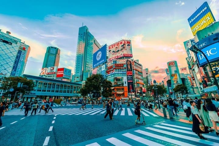 Tokyo Private Tour Highlights Temples Markets and Skyline — photo 8