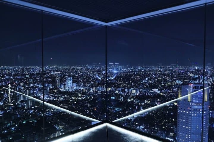 Tokyo Private Tour Highlights Temples Markets and Skyline — photo 9