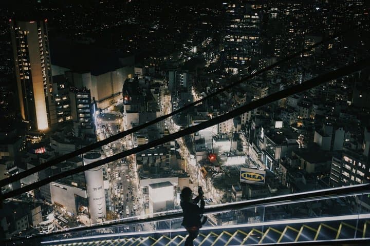 Tokyo Private Tour Highlights Temples Markets and Skyline — photo 10