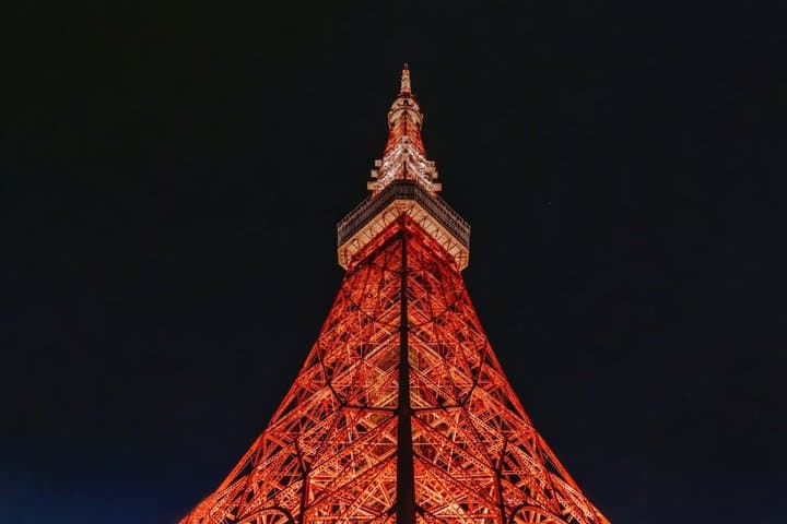 Tokyo Private Tour Highlights Temples Markets and Skyline — photo 11