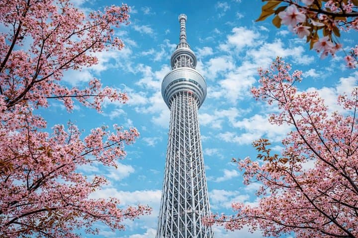 Tokyo Private Tour Highlights Temples Markets and Skyline — photo 12