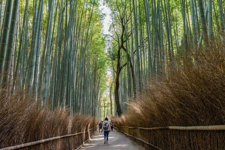 T1 Kyoto Arashiyama: Zen, Nature & Riverside Walking Tour — photo 1
