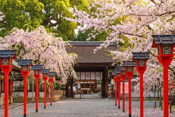 T2 Kyoto: History, Faith & Spirit Walking Tour — photo 2