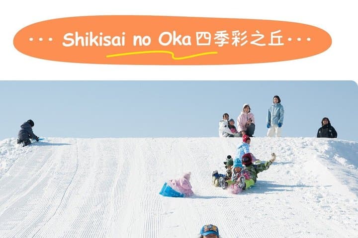Luxury Hokkaido Day Tour to Asahiyama Zoo and Biei Blue Pond — photo 19