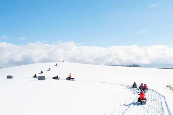 Luxury Hokkaido Day Tour to Asahiyama Zoo and Biei Blue Pond — photo 20