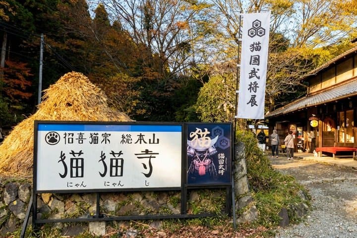 T4 Kyoto: Sacred Shrines & Temples Bus Tour — photo 3