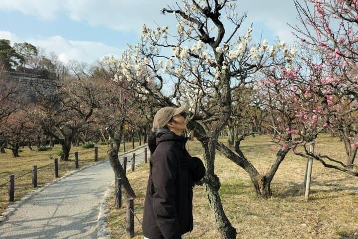 Osaka Castle: Before Japan Had a Name — photo 20