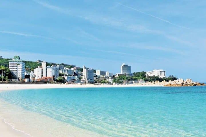 Private Transfer from Osaka to Wakayama,Shirahama&Kushimoto Area — photo 4