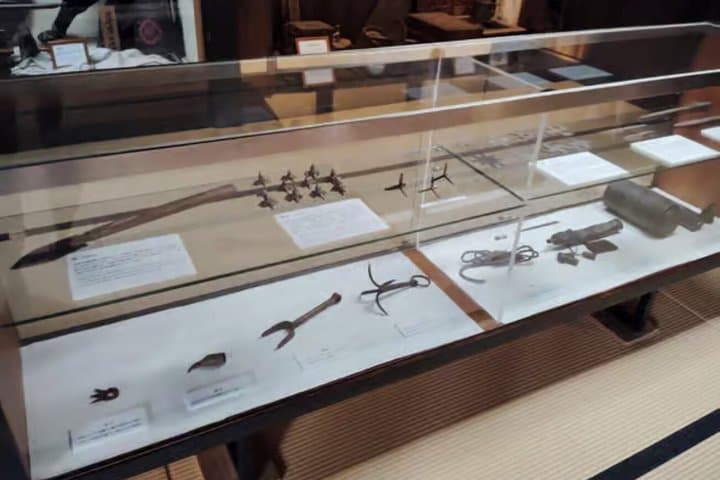 Kyoto Koka and Iga Ninja Heritage Private Day Tour — photo 5