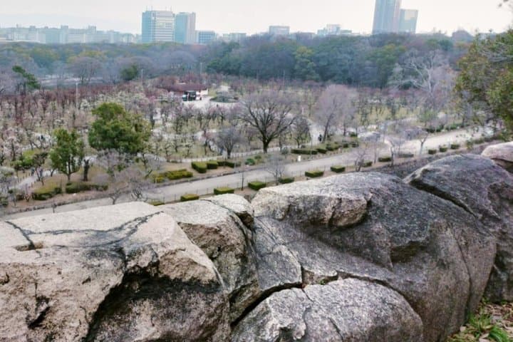 Osaka Castle: A Lord, a Concubine, and a Shogun's Lie — photo 3