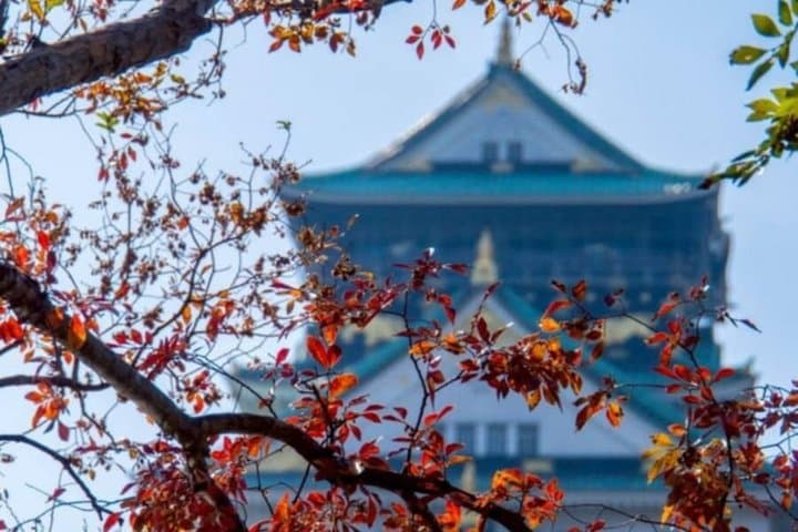 Osaka Castle: A Lord, a Concubine, and a Shogun's Lie — photo 15