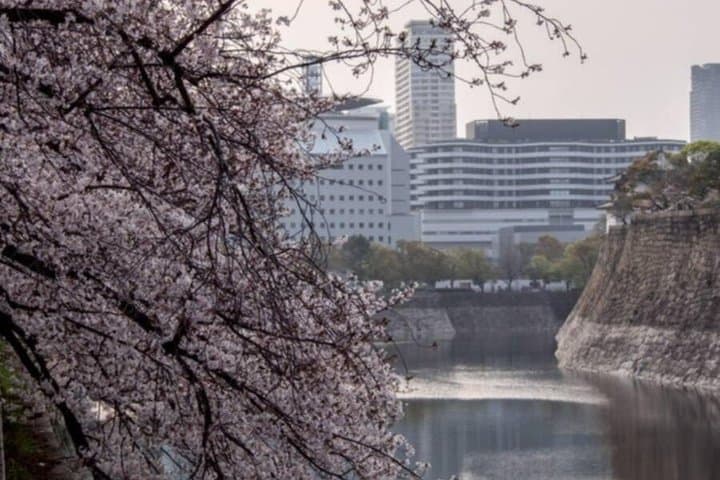 Osaka Castle: A Lord, a Concubine, and a Shogun's Lie — photo 19