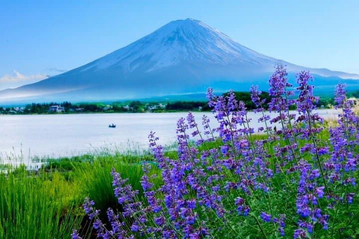 Full Day Mount Fuji and Hakone Tour from Tokyo — photo 8