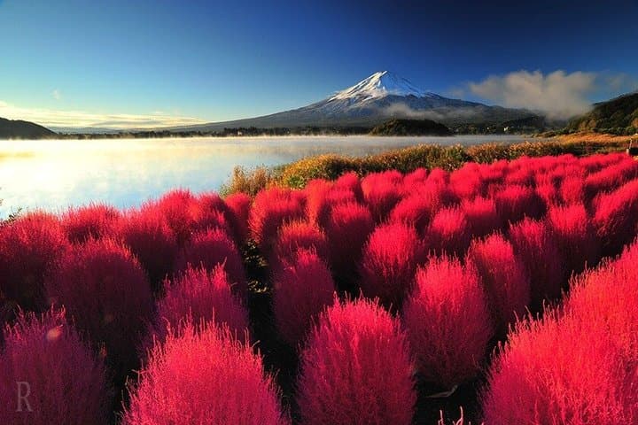 Full Day Mount Fuji and Hakone Tour from Tokyo — photo 11