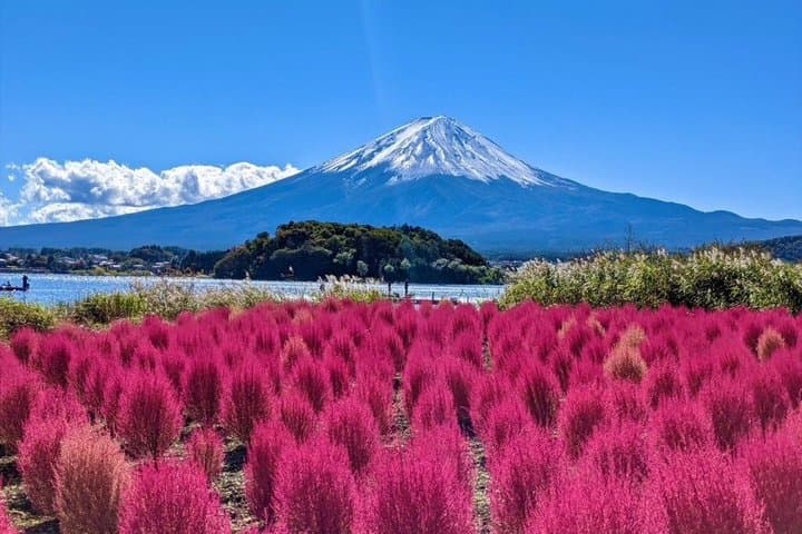 Full Day Mount Fuji and Hakone Tour from Tokyo — photo 12