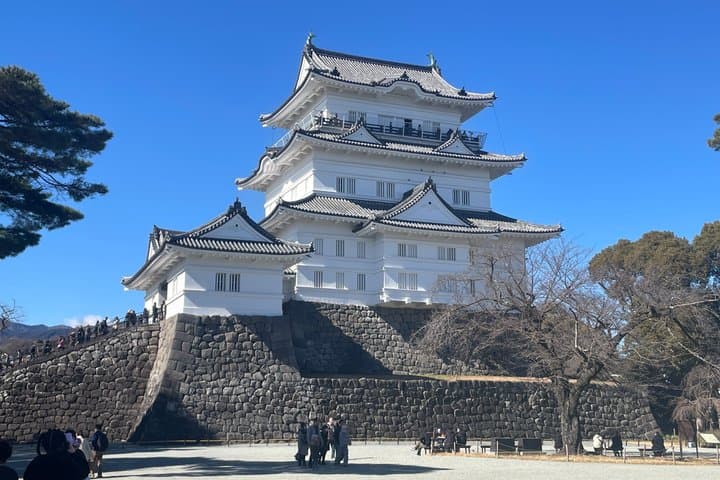 3 Day Private Onsen Experience Hakone and Atami Cultural Journey — photo 4
