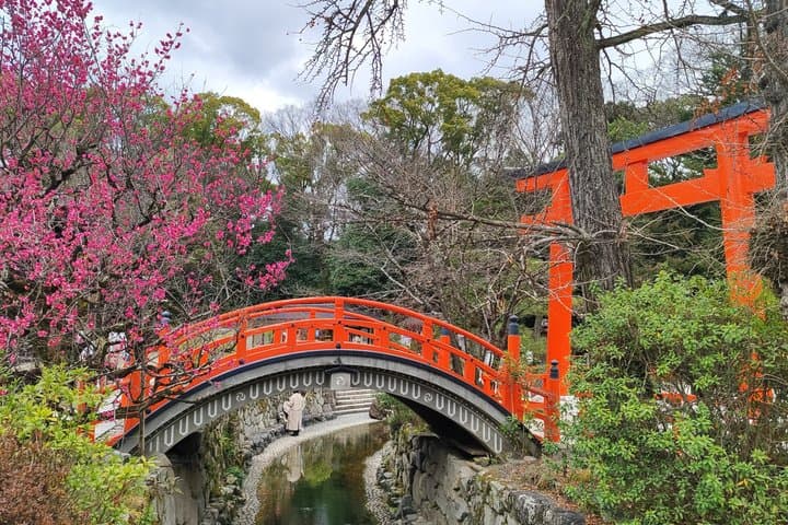 Kyoto Hidden Local Cherry Blossom Spot and Zen Garden — photo 7