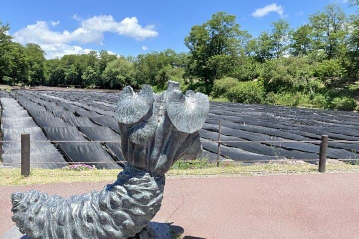 Private Matsumoto Castle and Azumino Craft Immersive Culture Tour — photo 2