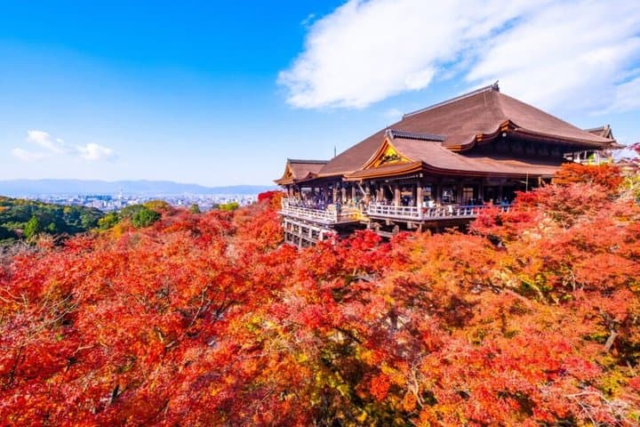One Way Transfer Between Kyoto and Osaka — photo 5