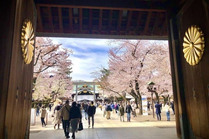 Tokyo Private Cherry Blossom Tour with a Shiba Inu & Shrine Walk — photo 6