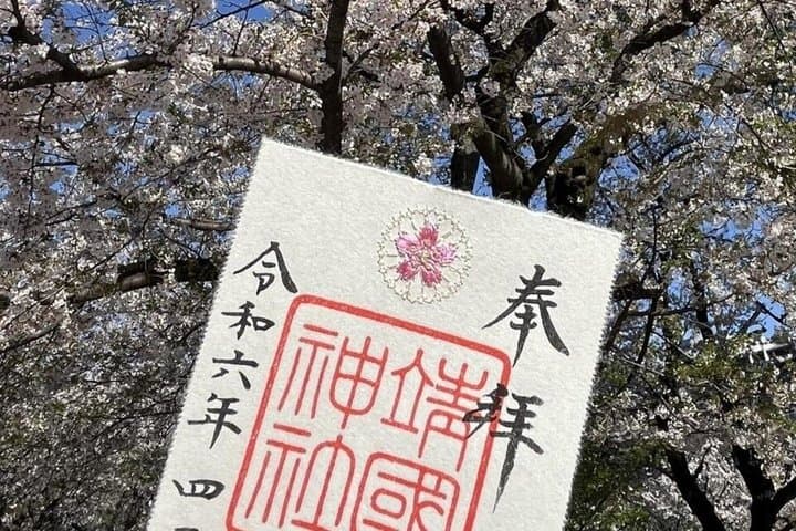 Tokyo Private Cherry Blossom Tour with a Shiba Inu & Shrine Walk — photo 5
