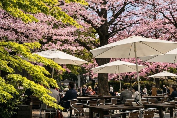 Tokyo Private Cherry Blossom Tour with a Shiba Inu & Shrine Walk — photo 16