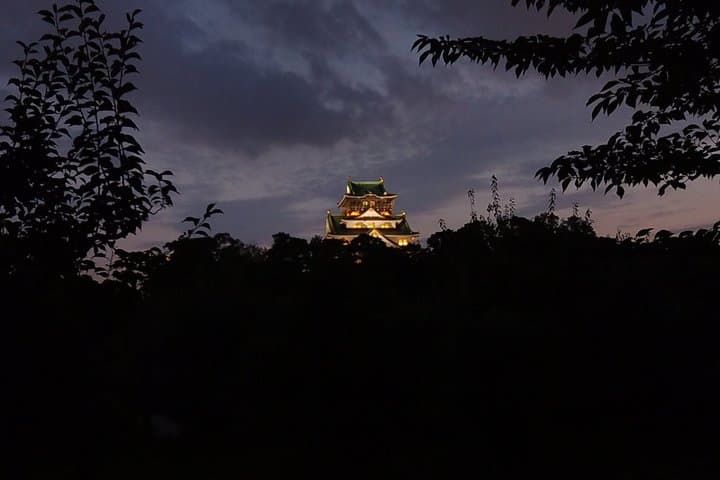 Osaka Castle Haunted Walk (Night & Day) — photo 6