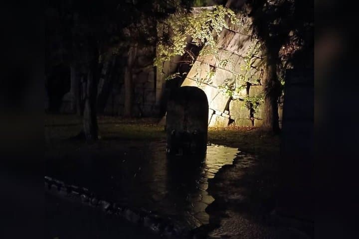 Osaka Castle Haunted Walk (Night & Day) — photo 10