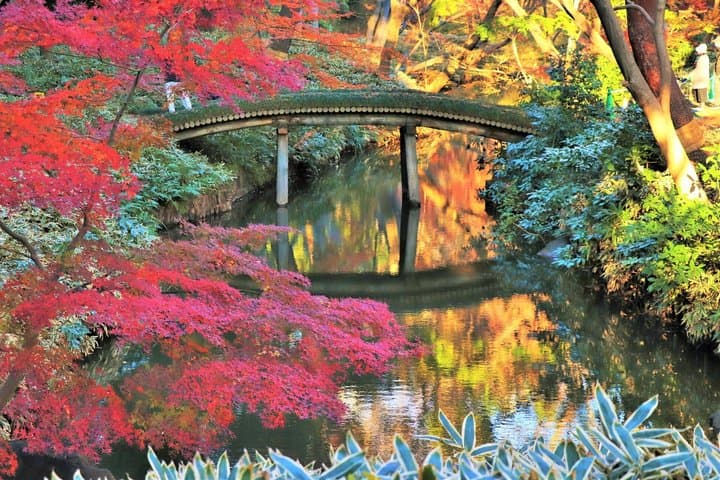 Tokyo: Edo-Period Rikugien Garden Walk with Matcha — photo 2