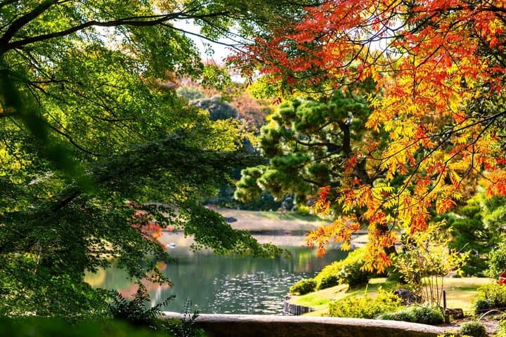 Tokyo: Edo-Period Rikugien Garden Walk with Matcha — photo 4