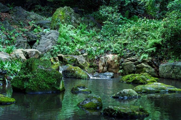 Tokyo: Edo-Period Rikugien Garden Walk with Matcha — photo 6