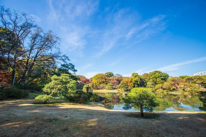 Tokyo: Edo-Period Rikugien Garden Walk with Matcha — photo 7