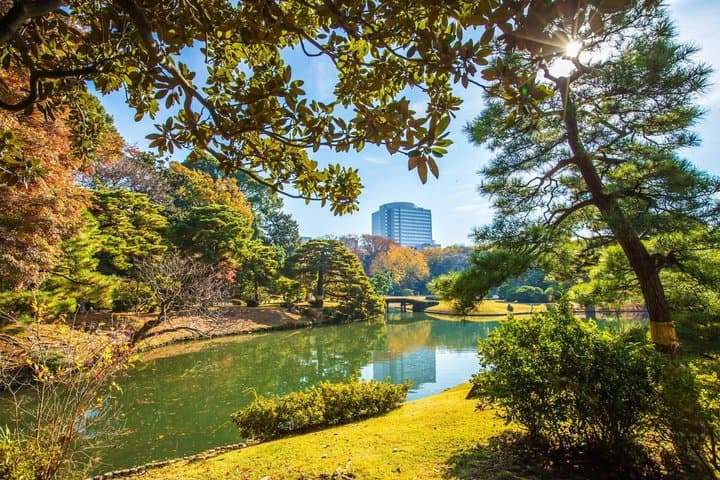 Tokyo: Edo-Period Rikugien Garden Walk with Matcha — photo 8