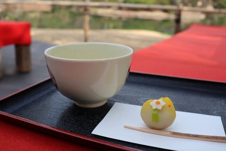 Tokyo: Edo-Period Rikugien Garden Walk with Matcha — photo 3